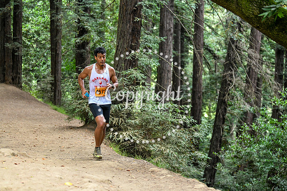 Coastal_RedwoodSummer-082