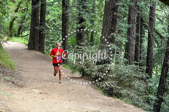 Coastal_RedwoodSummer-072