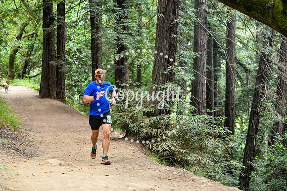 Coastal_RedwoodSummer-056