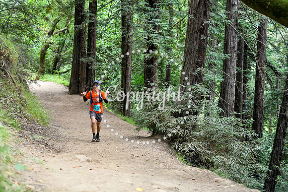 Coastal_RedwoodSummer-107