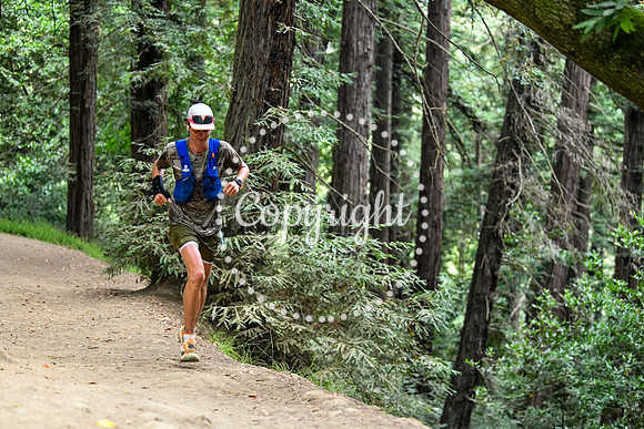Coastal_RedwoodSummer-092