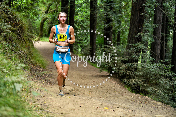 Coastal_RedwoodSummer-013
