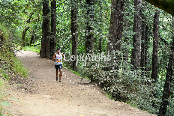 Coastal_RedwoodSummer-085