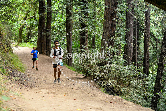 Coastal_RedwoodSummer-061