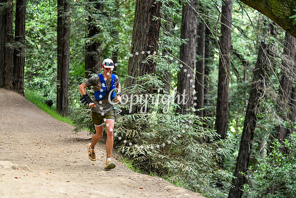 Coastal_RedwoodSummer-093