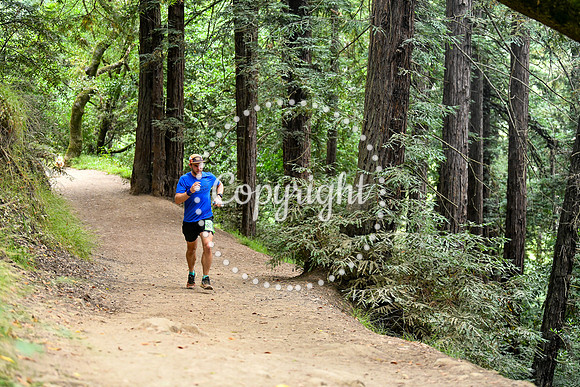 Coastal_RedwoodSummer-058