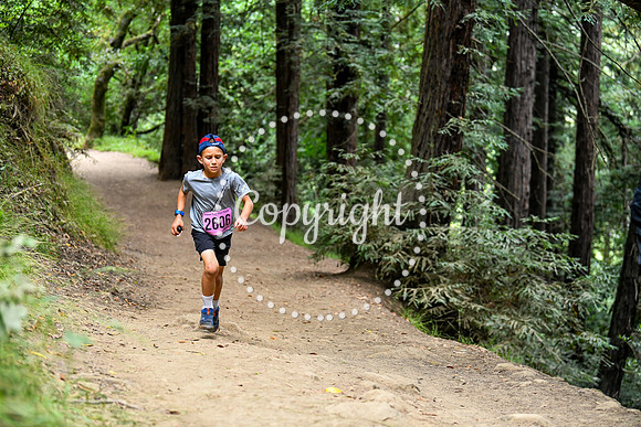 Coastal_RedwoodSummer-042