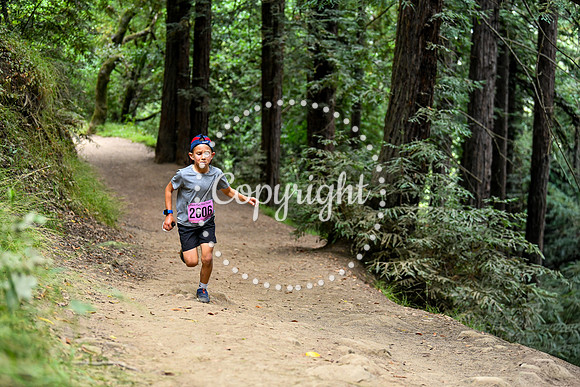 Coastal_RedwoodSummer-043