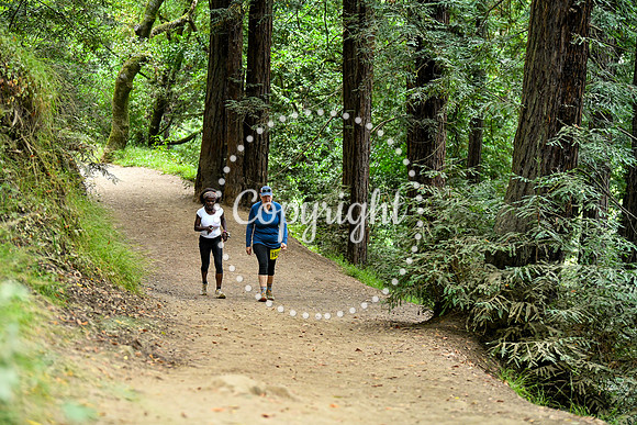 Coastal_RedwoodSummer-032