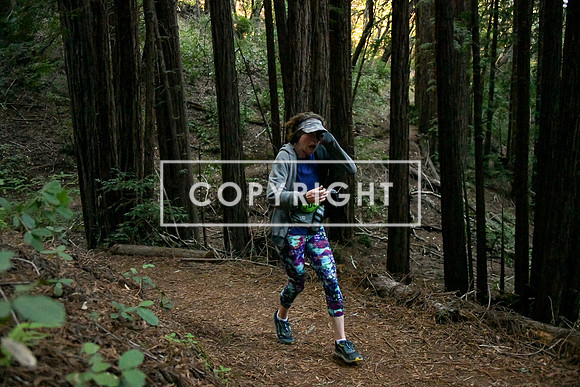 Crystal Springs-0100