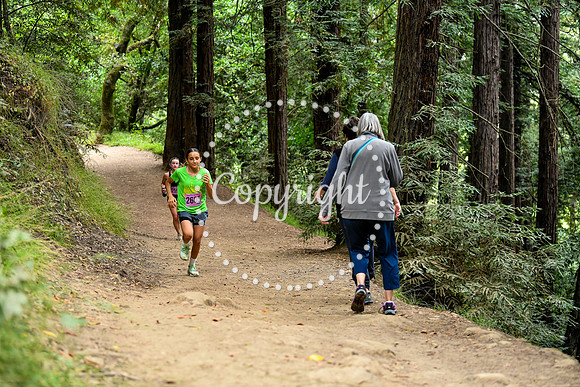 Coastal_RedwoodSummer-008