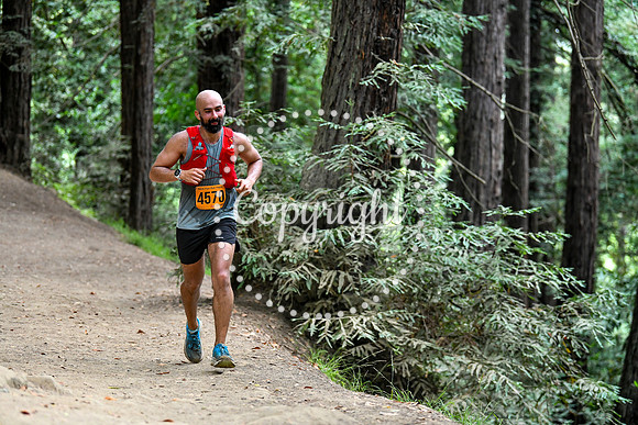 Coastal_RedwoodSummer-034