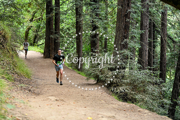 Coastal_RedwoodSummer-066