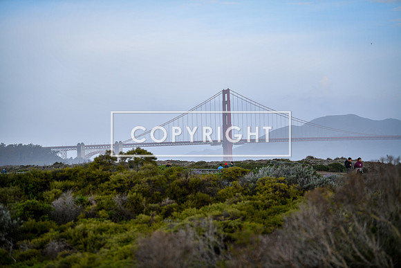 startline_ZoomSF-16