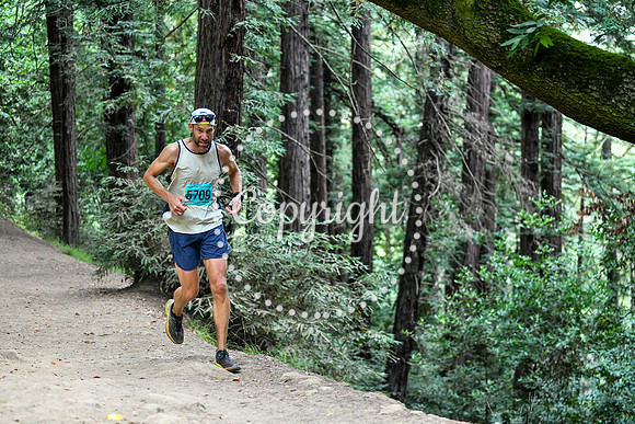 Coastal_RedwoodSummer-098