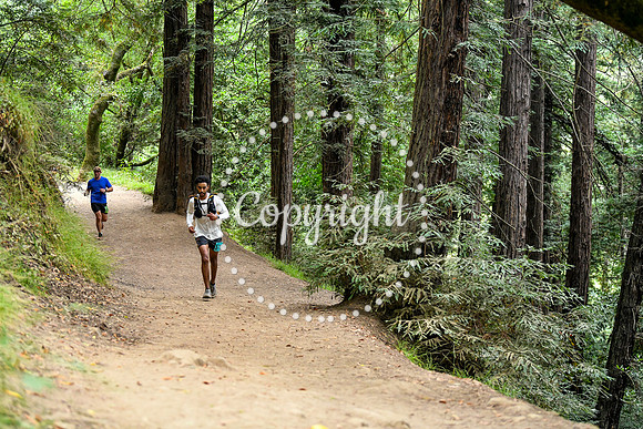 Coastal_RedwoodSummer-063