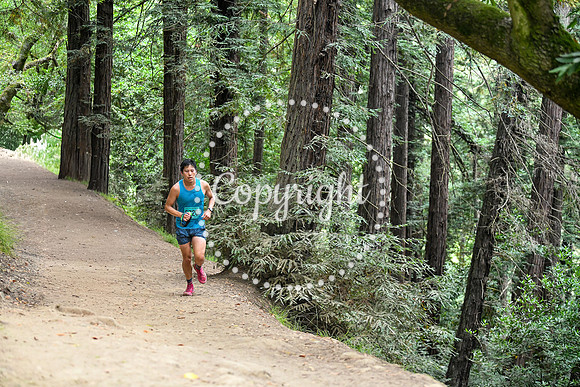 Coastal_RedwoodSummer-089