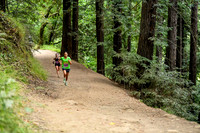 Coastal_RedwoodSummer-012