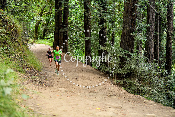 Coastal_RedwoodSummer-012