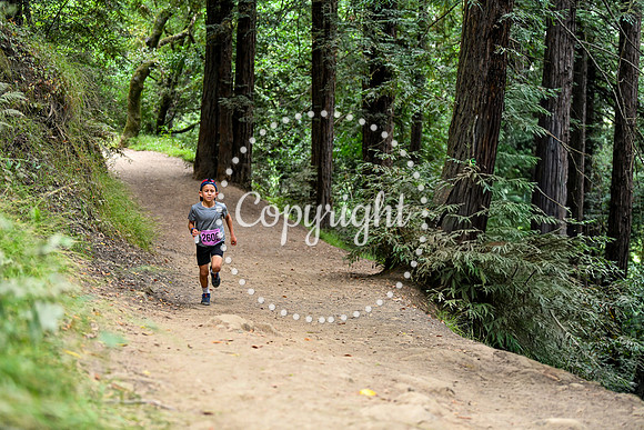 Coastal_RedwoodSummer-045