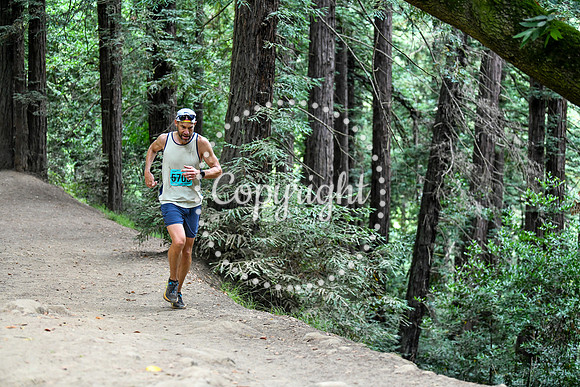 Coastal_RedwoodSummer-100