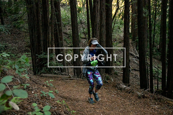 Crystal Springs-0099