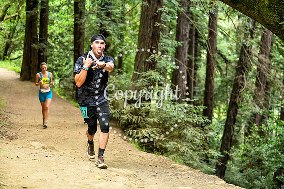 Coastal_RedwoodSummer-020