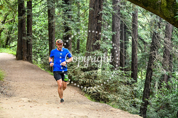 Coastal_RedwoodSummer-055