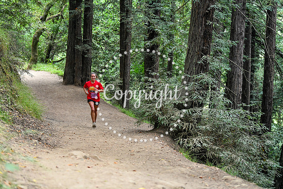 Coastal_RedwoodSummer-073