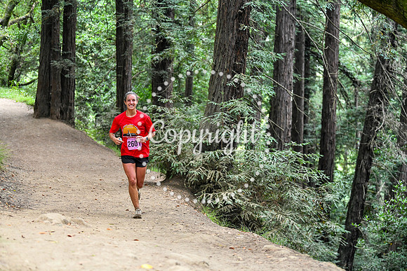 Coastal_RedwoodSummer-069
