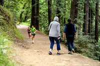 Coastal_RedwoodSummer-011