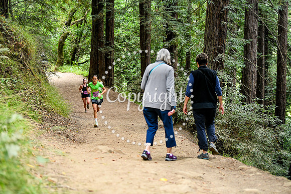 Coastal_RedwoodSummer-011