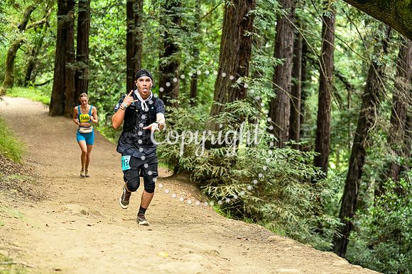 Coastal_RedwoodSummer-023
