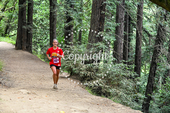 Coastal_RedwoodSummer-070