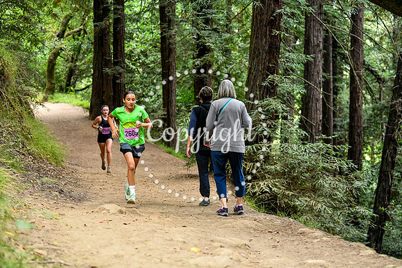 Coastal_RedwoodSummer-006