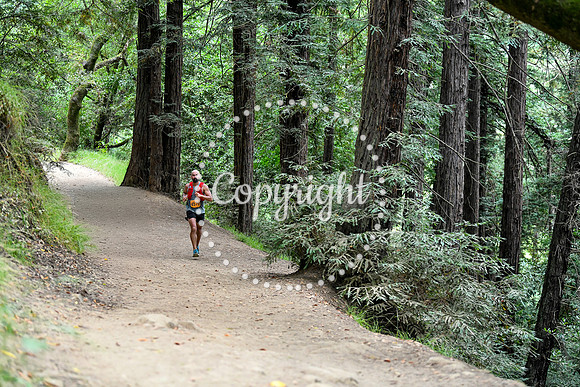 Coastal_RedwoodSummer-040