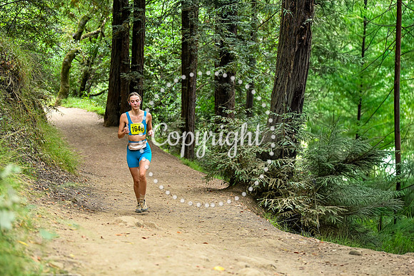Coastal_RedwoodSummer-017