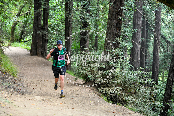 Coastal_RedwoodSummer-075