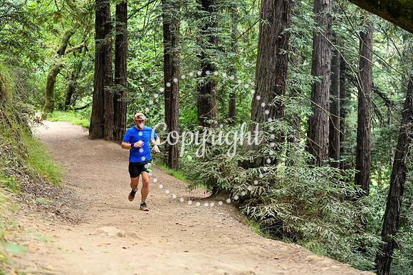 Coastal_RedwoodSummer-057