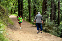 Coastal_RedwoodSummer-009