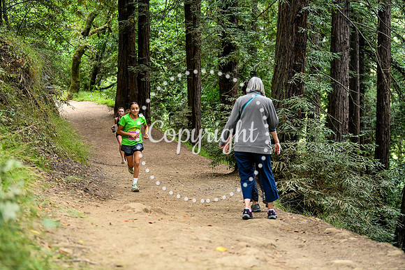 Coastal_RedwoodSummer-009