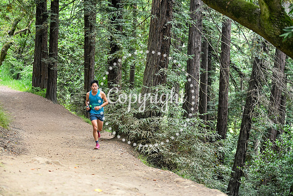 Coastal_RedwoodSummer-090