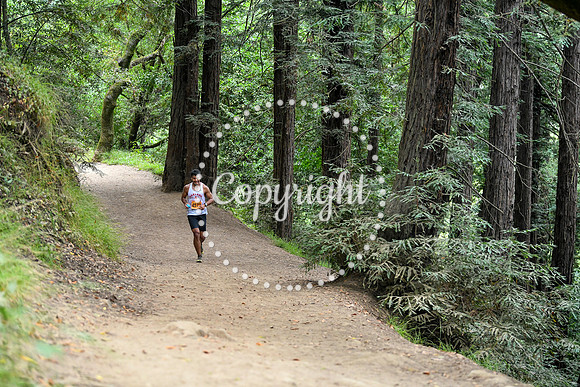 Coastal_RedwoodSummer-086