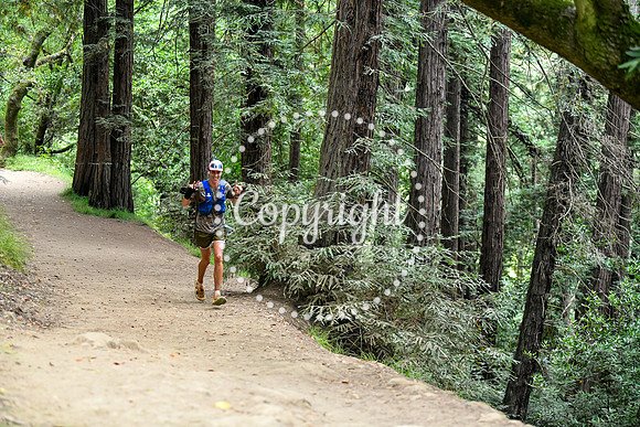 Coastal_RedwoodSummer-094