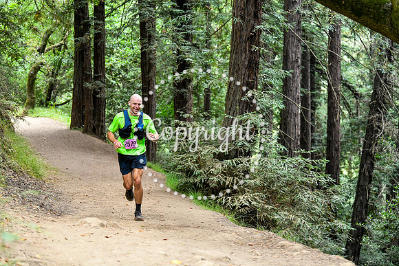 Coastal_RedwoodSummer-048