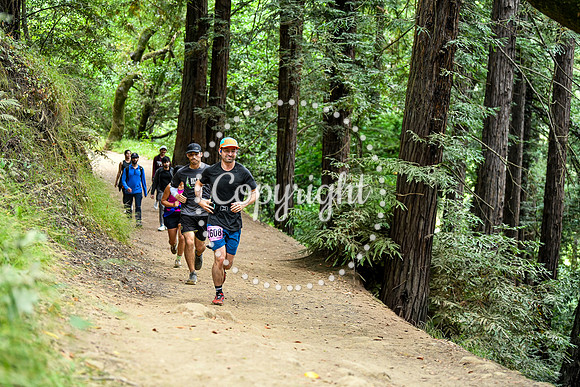 Coastal_RedwoodSummer-124