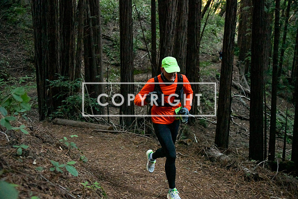 Crystal Springs-0063