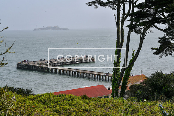 Finishline_ZoomSF-02