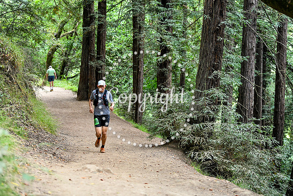 Coastal_RedwoodSummer-128