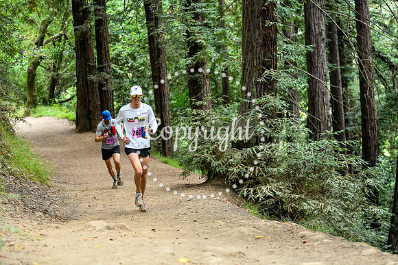 Coastal_RedwoodSummer-154